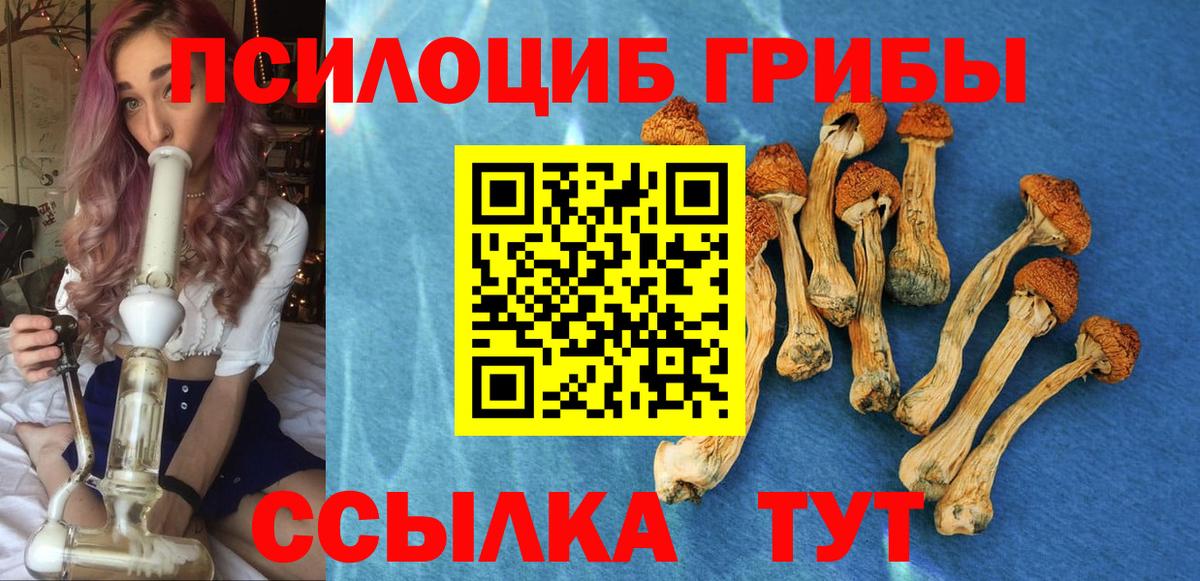 Галлюциногенные грибы Psilocybine cubensis Удомля