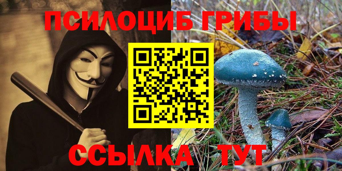 Удомля  Псилоцибиновые грибы мицелий  Вход с VPN 